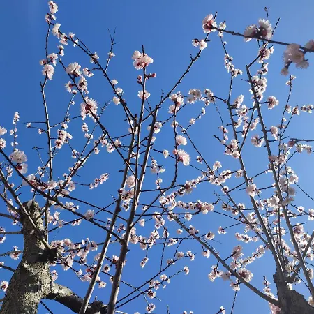 Διαμέρισμα Darsena Tra Arte E Mare *