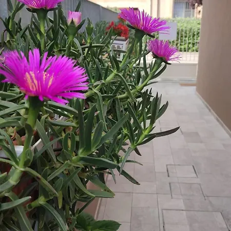 Διαμέρισμα Darsena Tra Arte E Mare Ραβένα