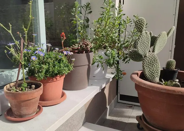 Appartement Darsena Tra Arte E Mare *