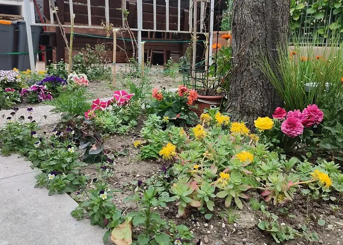 Appartement Darsena Tra Arte E Mare Ravenne