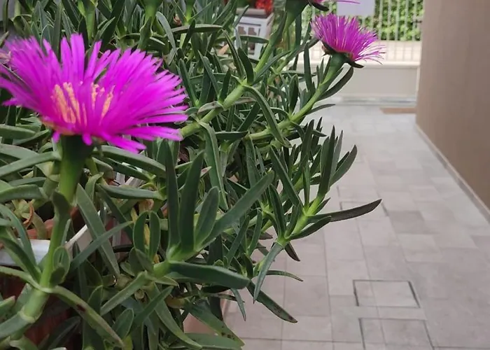 Appartement Darsena Tra Arte E Mare Ravenna