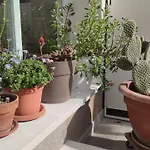 Apartamento Darsena Tra Arte E Mare *