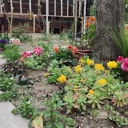 Apartmán Darsena Tra Arte E Mare Ravenna