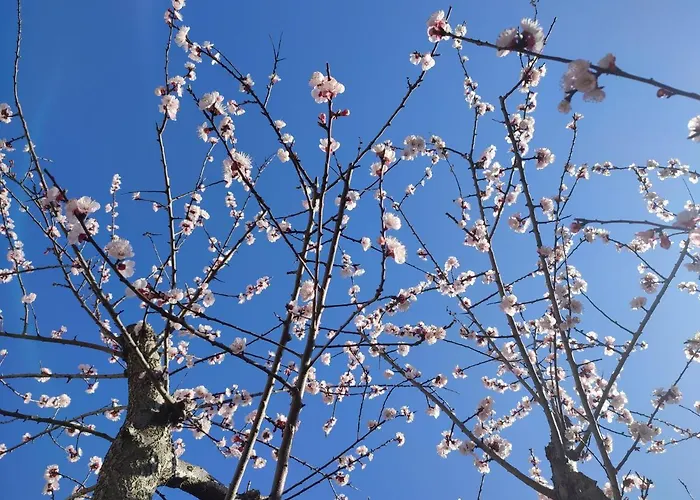 Apartmán Darsena Tra Arte E Mare *